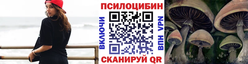 Купить где  Новохопёрск  Галлюциногенные грибы Magic Shrooms 